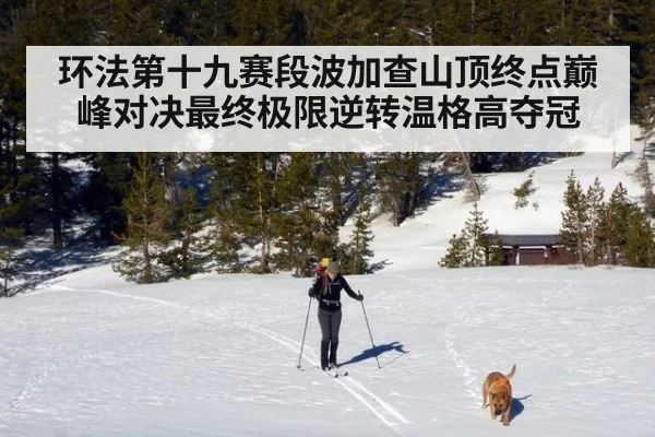 环法第十九赛段波加查山顶终点巅峰对决最终极限逆转温格高夺冠
