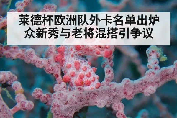 莱德杯欧洲队外卡名单出炉众新秀与老将混搭引争议